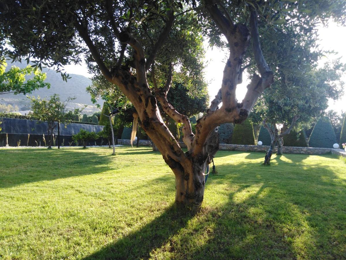 הרסוניסוס Golden Crest Villa מראה חיצוני תמונה